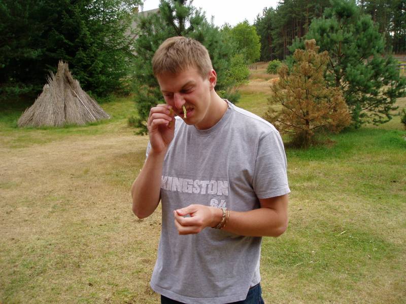 image30