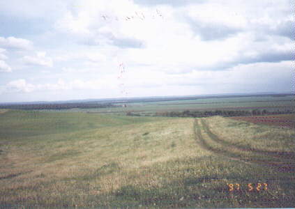 Podhorce, widok w dal
