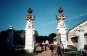Antoniny